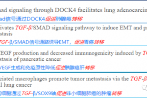 AI助手功能细化：从“全能助手”到“精细化数字员工”
